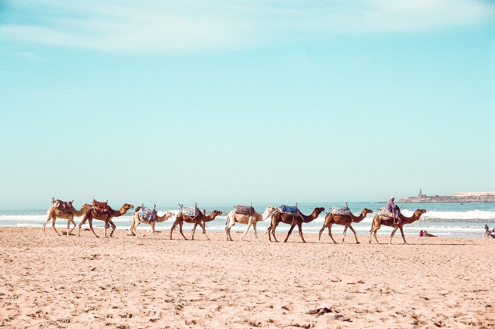 Caravane de dromadaires sur la plage