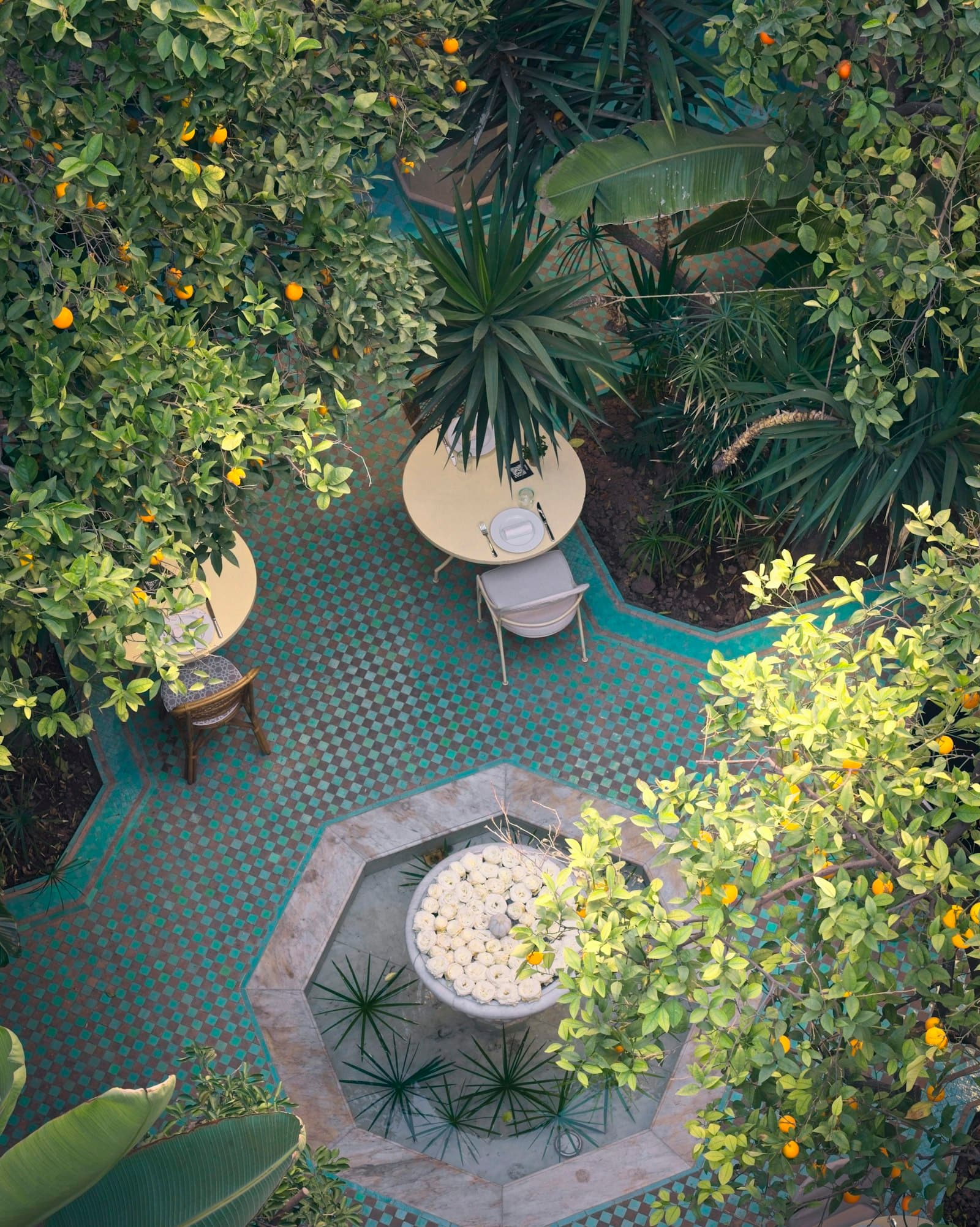 Le patio vu depuis la galerie, tables et arbres fruitiers